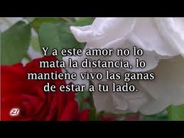 Carta de amor para mi novio que está lejos. Hermosa Carta De Amor Para Mi Novia Novio A La Distancia Youtube