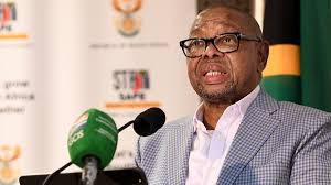 Research heavyweights join Nzimande's working group
