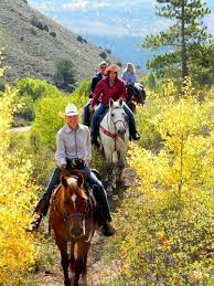 Trail Riding In The Fall I Would Like To Do This Trail Riding Horses Trail Riding Equestrian Dressage