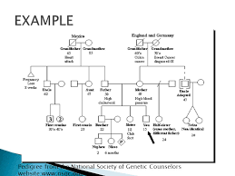 Most family tree charts include a box for each individual and each box is connected to the others to indicate relationships. A Way To Showcase You A Pedigree Is A Drawing Of A Family Tree The Pedigree Is Used By Genetic Counselors And Other Medical Professionals To Assess Ppt Download