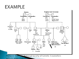 Where can i find free family tree illustrations? A Way To Showcase You A Pedigree Is A Drawing Of A Family Tree The Pedigree Is Used By Genetic Counselors And Other Medical Professionals To Assess Ppt Download