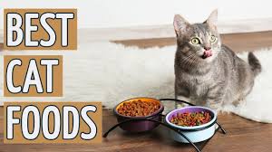 Purina one hairball, weight control, indoor. Best Cat Food Top 10 Best Cat Foods 2019 Reviews Youtube