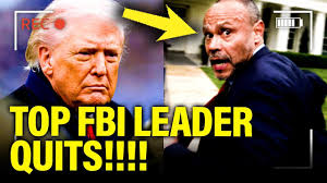 TOP FBI Leader SUDDENLY QUITS before EPSTEIN FILES RELEASED, Follow for  more! | MeidasTouch | Facebook