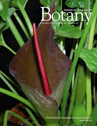 Image result for Teedia lucida