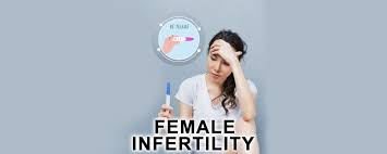 Image result for Female Infertility