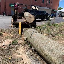 Ian Longwell (@greencreekwoodshop) • Instagram photos and videos