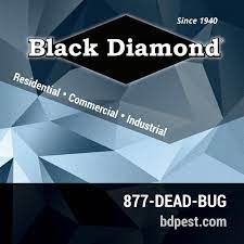 Pest control company servicing the kansas city metro for 16 years with our fleet of blue volkswagen beetles. Black Diamond Service Catalog By Black Diamond Pest Control Issuu