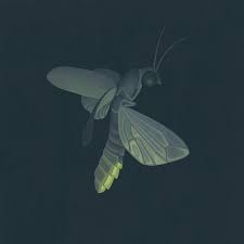 Firefly Insect Wildlife Art Illustration Painting Print In 2021 Firefly Art Firefly Painting Fireflies Art Print