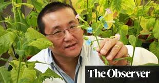 No need to register, buy now! Julian Ma I M Growing Antibodies In Tobacco Plants To Help Prevent Hiv Drugs The Guardian