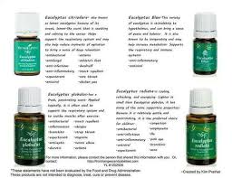 Making an exclusive essential rewards monthly order? Comparison Of Young Living Eucalyptus Oils Living Essentials Oils Essential Oils Essential Oils Herbs