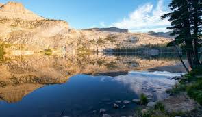 Earth day is observed to create awareness about pollution and to celebrate the environment of the blue planet. Earth Day 2020 Why It Is Celebrated Importance Significance And Theme Of This Year Lifestyle News India Tv