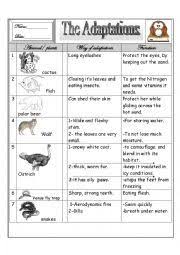 Pin On Worksheets Science