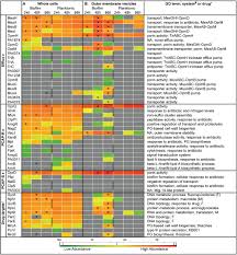 48 systematic antimicrobial spectrum of activity chart