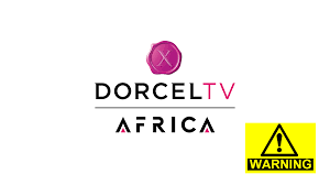 Chaine Tv pour adulte 100% africaine : ces décideurs africains ont-ils  vraiment autorisé cette déculottée ? - INPROUV AFRICA