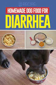 Recipe Homemade Dog Food For Diarrhea Make Dog Food Healthy Dog Food Recipes Dog Food Recipes