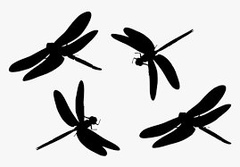 Free Dragonfly Svg Hd Png Download Kindpng