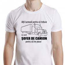 We did not find results for: Tricou Personalizat Sunt Sofer De Camion Pentru Ca Imi Place