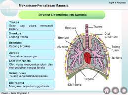 Nota ringkas sains tingkatan 3. Http Noramaniaida Blogspot Com P Sains Tingkatan 3 Html