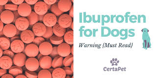 ibuprofen for dogs warning must read certapet