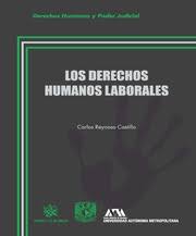 Los derechos humanos se encargan de subsumir las libertades, facultades e instituciones o las reivindicaciones que son importantes y que están relacionadas con los bienes que son primarios y básicos de toda persona. Los Derechos Humanos Laboralestirant Lo Blanch Editorial Tirant Lo Blanch Mexico