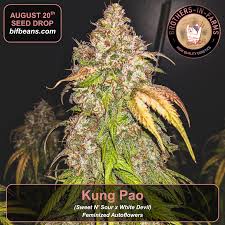 Kung-Pao (Brothers In Farms) :: Cannabis Strain Info