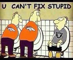 Tampa bay buccaneers highlights from super bowl lv. Denver Broncos Hate Quotes Quotesgram