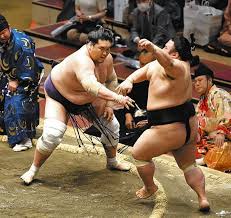 平成三十年七月場所 東幕下六枚目 照ノ富士 春雄 0勝0敗7休. ç…§ãƒŽå¯Œå£« ç¶±ã¾ã§æ˜‡ã‚‹ å¤§ç›¸æ'²æ˜¥å ´æ‰€åƒç§‹æ¥½ ä¸­æ—¥æ–°èžweb