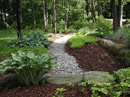 Full Shade Garden Ideas Photograph Shade Tree Landscaping Shade Landscaping Shade Garden Shade Garden Design