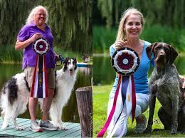 If you're in need of a dog stud service take a look here. Rocco And Rider Become The First Akc Scent Work Detectives
