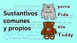 Diferencia Entre Nombres Propios Y Comunes Solucion