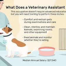 The pet care industry also offers job openings for 15 year olds. Veterinary Assistant Job Description Salary Skills More