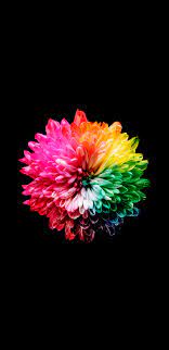 Multicolored wallpaper, colorful, rainbow colors, dark background. Amoled Wallpaper Colourful Wallpaper Iphone Hypebeast Wallpaper Samsung Wallpaper