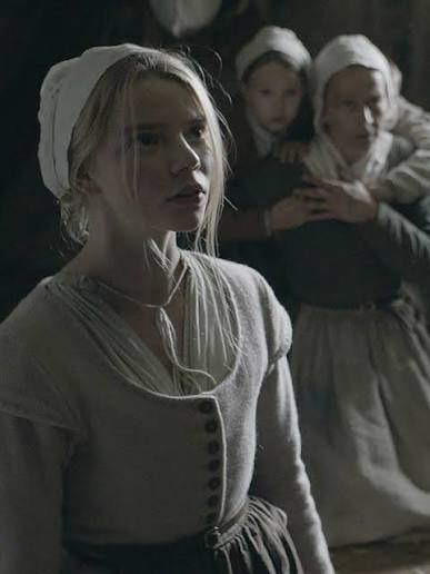 🔹The Witch (2015) A family living in New England falls apart when the  eldest daughter, Thomasin, is accused of witchcraft after the disappearance  of the youngest son. I've heard so many good