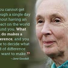 Fred's Mission Rescue