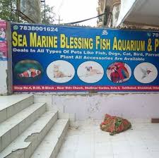 Saltwater fish pet store near me. Sea Marine Blessings Fish Aquarium Pet Shop Sea Blessings Twitter