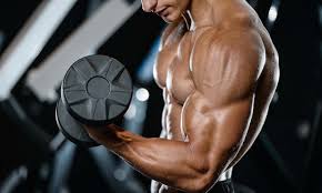 arms workout guide best biceps