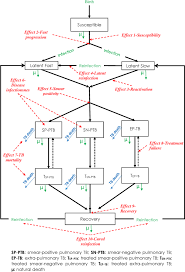 Type 1 diabetes:results from the body's failure to produce insulin, and presently requires the person to inject. Analytical Exploration Of Potential Pathways By Which Diabetes Mellitus Impacts Tuberculosis Epidemiology Scientific Reports