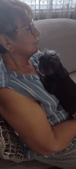 Thanks for the add, :) this is my sweet Sophie😍