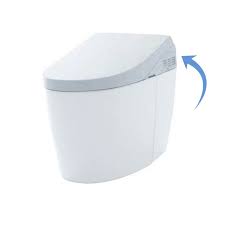 And while they share similar advanced features like electrolyzed water sanitization, they are slightly different from each other. Toto Sn989m 01 Ah Neorest Ah Washlet Seat Only Cotton White
