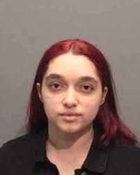 MILFORD POLICE DETECTIVES USE COMMUNITY TIPS TO MAKE DRUG ARREST — 250 Main  Street Milford, MA 01757 (508)473-1113