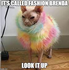 Image Tagged In Fashion Imgflip