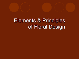 Principles And Elements Of Floral Design Lines this is the light that is reflected off of objects.