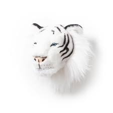 Where is the white tiger naturally found? Dierenkop Tijger Wit Albert Wild And Soft De Boomhut