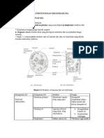 *tertakluk kepada dokumentasi lengkap, pengesahan majikan dan pengesahan pelanggan melalui akad 401140001 27 12 2018 Borang Pb2 Borang Pengesahan Pendapatan Pdf Pdf