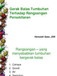 Gerak balas nasti ialah gerakbalas tumbuhan terhadap rangsangan tanpa mengira arah tindakan rangsangan tersebut. Gerak Balas Tumbuhan Bio