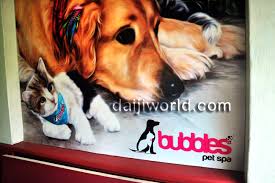 Micro bubble cleaning technology represents the advanced cleaning method in skin cleaning industry. Mangaluru First Of Its Kind In City Bubbles Pet Spa Opened At Yeyyadi Daijiworld Com