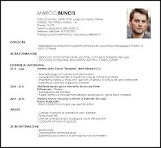 Modello Curriculum Vitae Addetto Area Giochi Per Bambini Livecareer