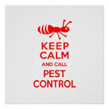 Professional termite & pest control services. Pest Control Posters Pest Control Prints Art Prints Poster Designs Pest Control Termite Control Pests