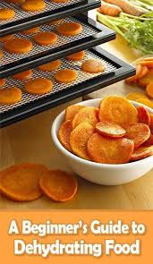 A Beginner S Guide To Dehydrating Food Tips Tricks Dehydrated Food Food Recipes
