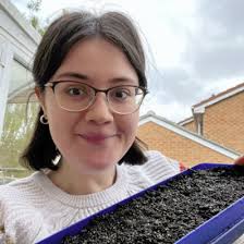 Meet the Team & Trustees Council for British Archaeology